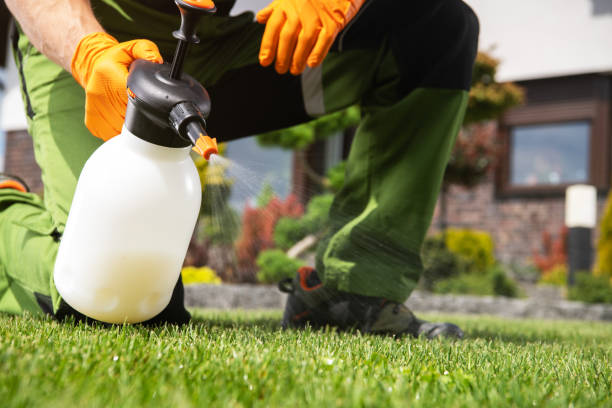 Best Bird Control  in Oak Park, CA