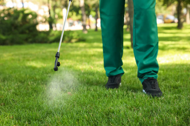 Best Best Pest Control Companies  in Oak Park, CA
