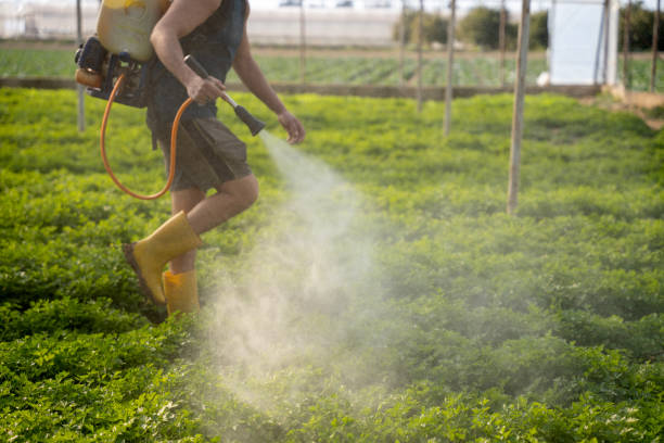 Best Residential Pest Control  in Oak Park, CA