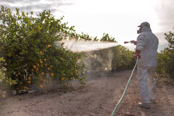 Best Insect Control  in Oak Park, CA