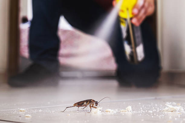 Best Mosquito Control Services  in Oak Park, CA