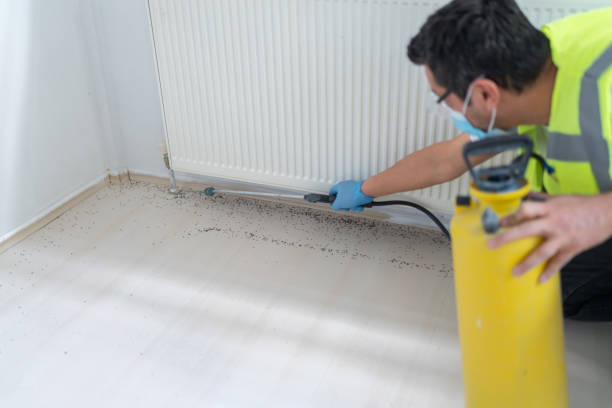 Best Ant Control Services  in Oak Park, CA